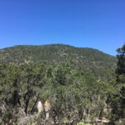 WhatsApp Image 2026-03-11 at 12.22.39 PM