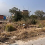 WhatsApp Image 2026-03-30 at 1.45.16 PM (1)