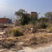 WhatsApp Image 2026-03-30 at 1.45.16 PM