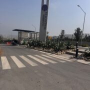 WhatsApp Image 2026-03-30 at 1.45.17 PM